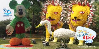 visakha utsav 2019